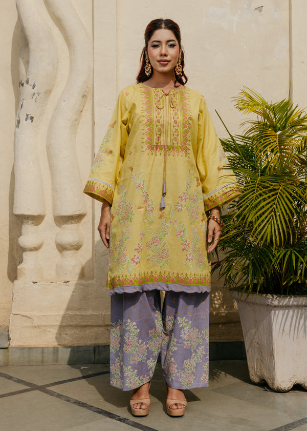 NeelGul Salwar Suit Set