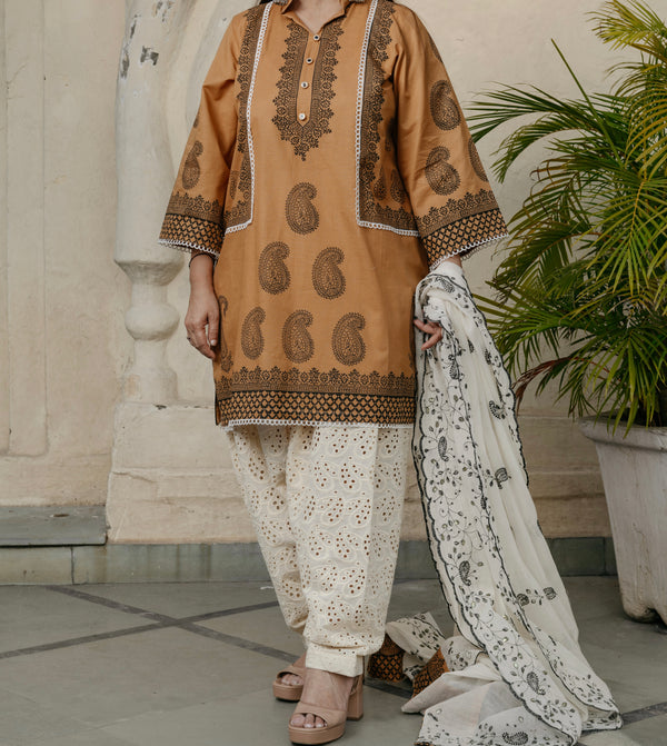 Vaanya Chikankari Co-ord Set